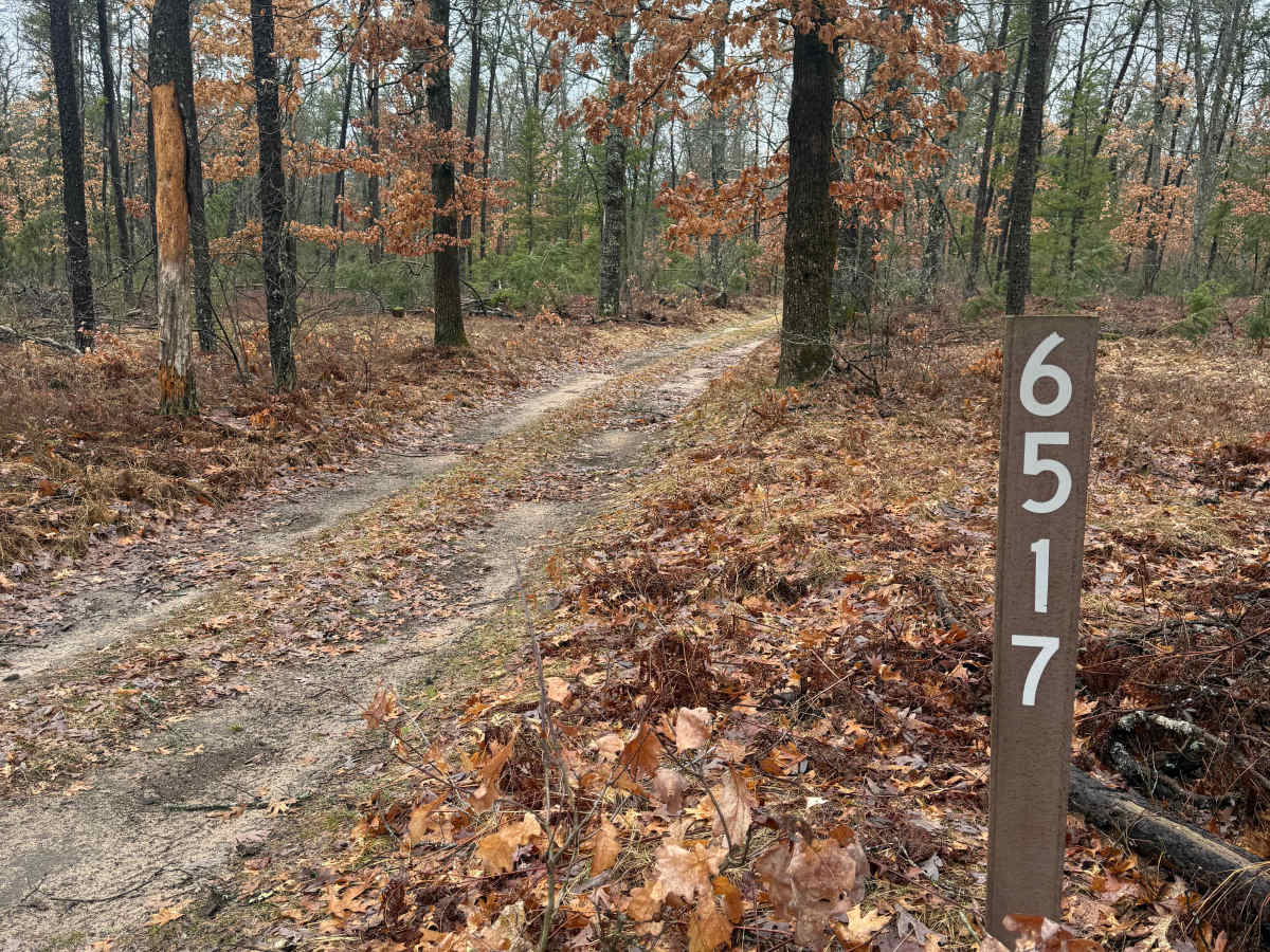 FS 6517 trail photo