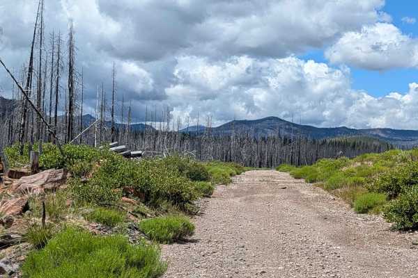 Baird Springs - FS 43N02