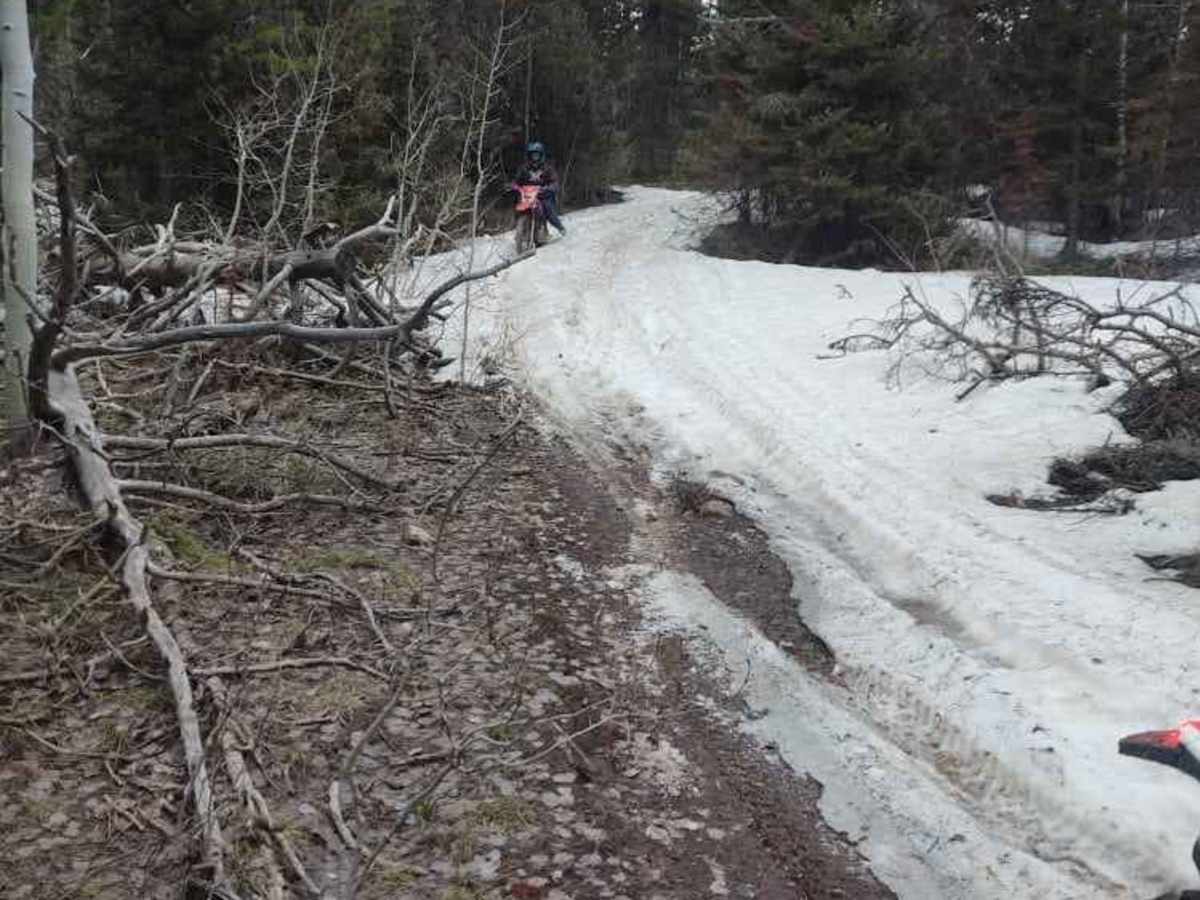 Wickiup trail photo