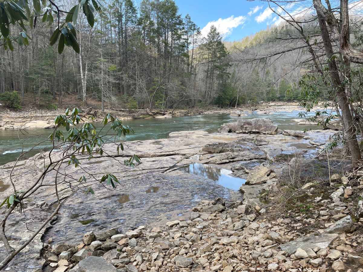 Meadow/Gauley Access Trail photo 6