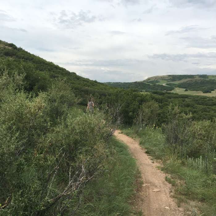Near Gold Loop
