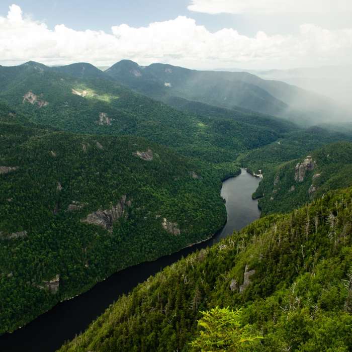 Near Colvin and Blake