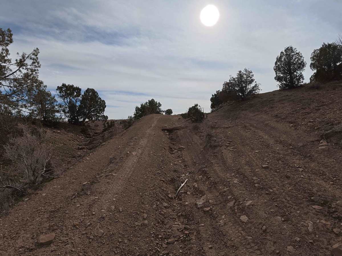 BLM 130 photo 3