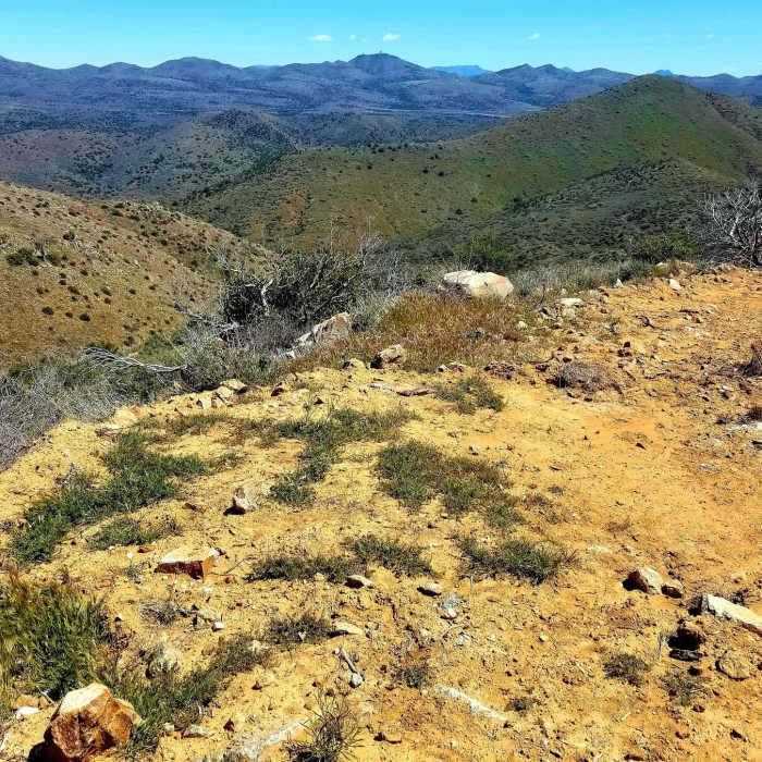 Near Skunk Tank - Cave Creek Loop