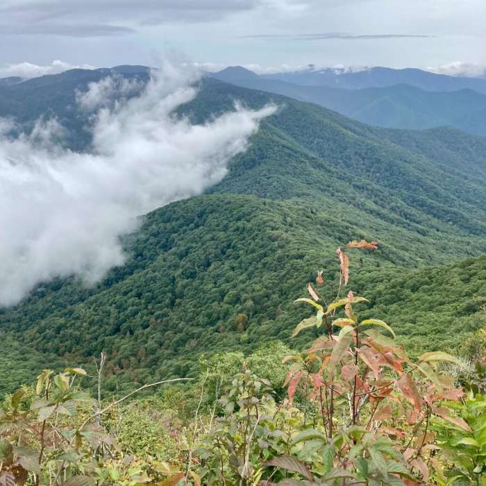 Near Cold Mountain Out-and-Back Near Cold Mountain Out-and-Back