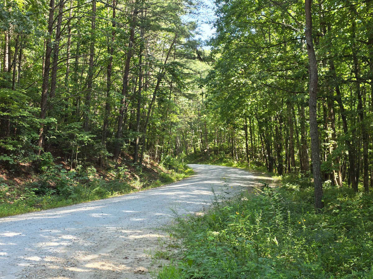 Whetstone Road - FS 721 trail photo
