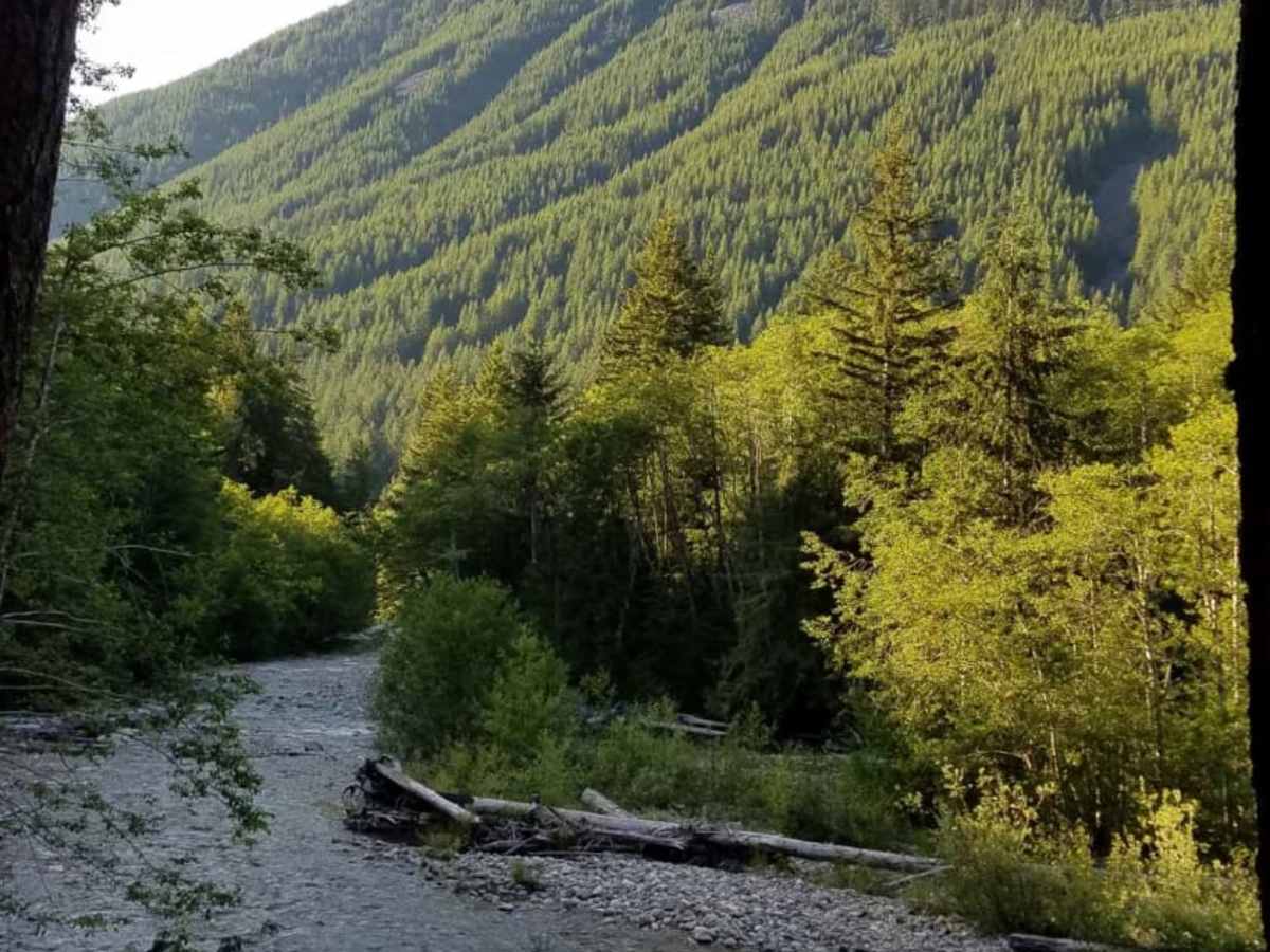 Tinkham Road (NF-55) photo 2