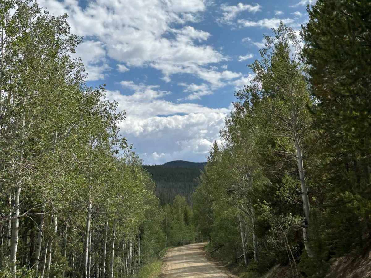 Willow Creek Road photo 5