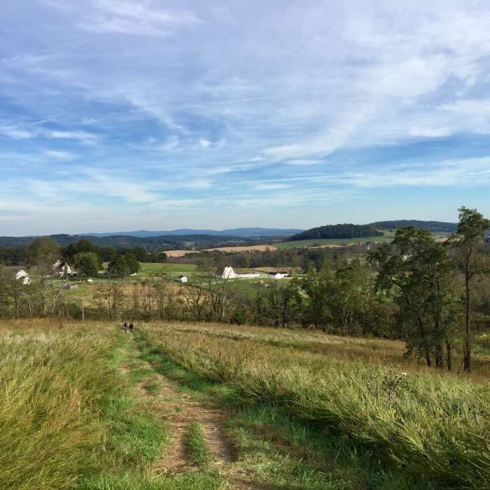 Near Piedmont Overlook Loop
