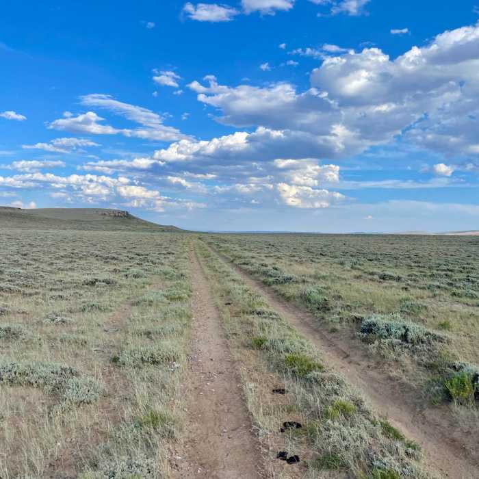 Near Continental Divide Trail: Wyoming Section 6