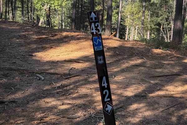 Trail 4-3 (11E34) 