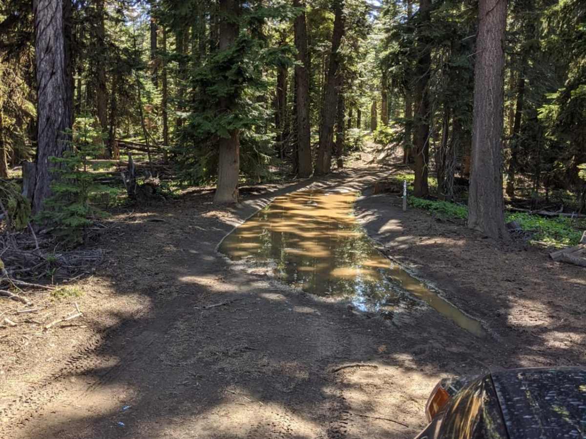 RD 2630 / Summit Trail photo 2