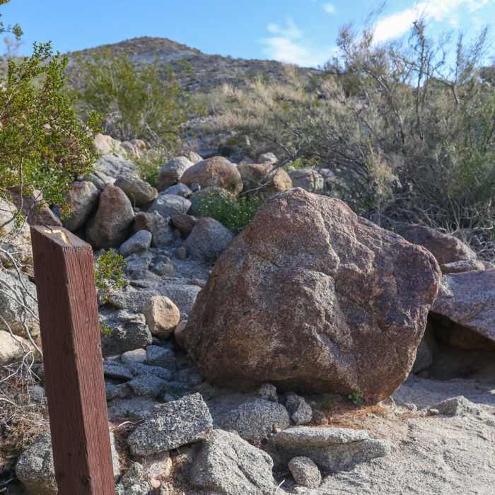 Near Randall Henderson Loop