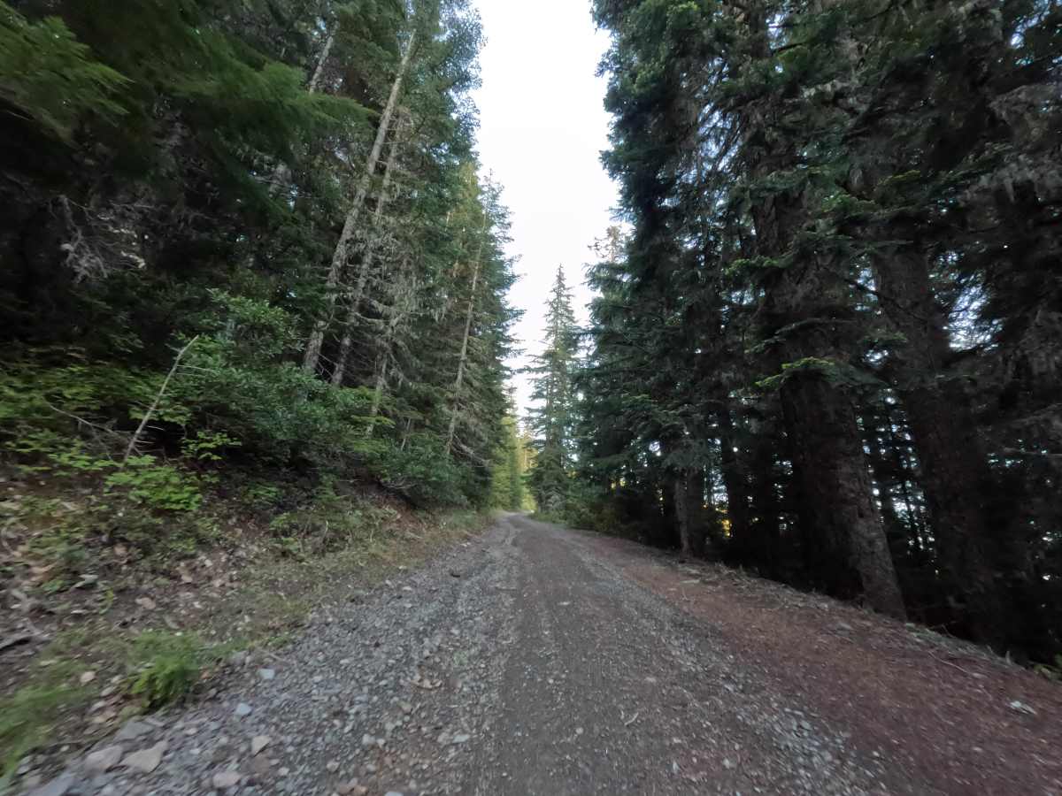 Frog Lake Butte - FS 2610-220 photo 5