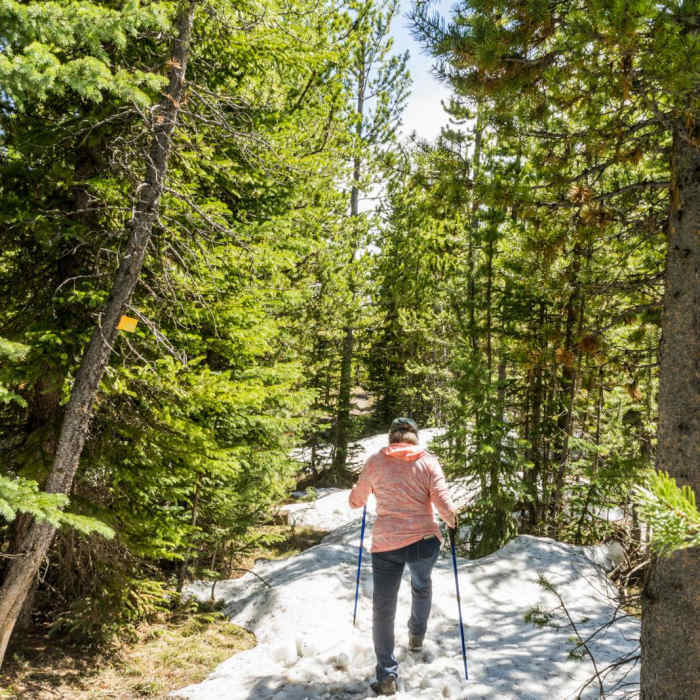 Near Lake Overlook Trail Near Lake Overlook Trail