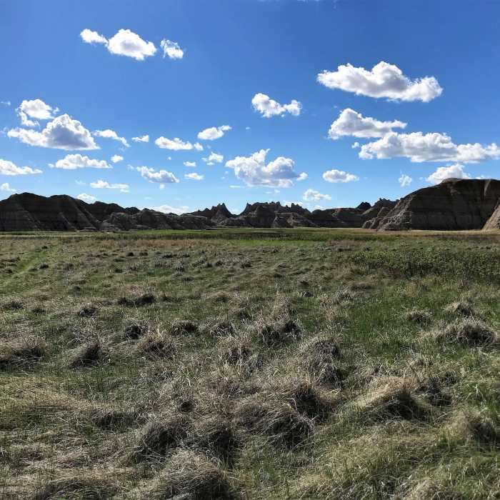 Near Deer Haven Near Deer Haven