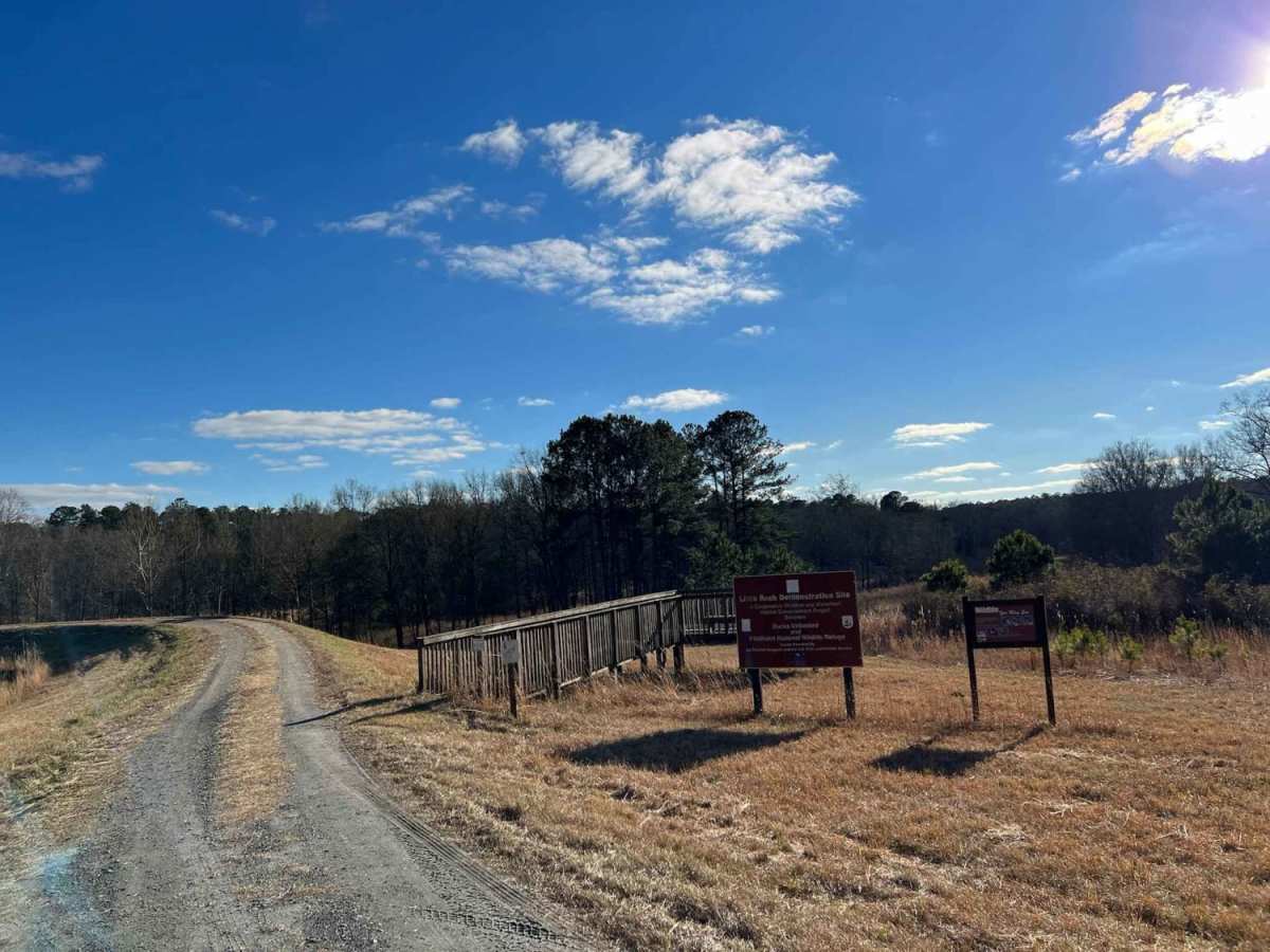 Little Rock Wildlife Drive trail photo