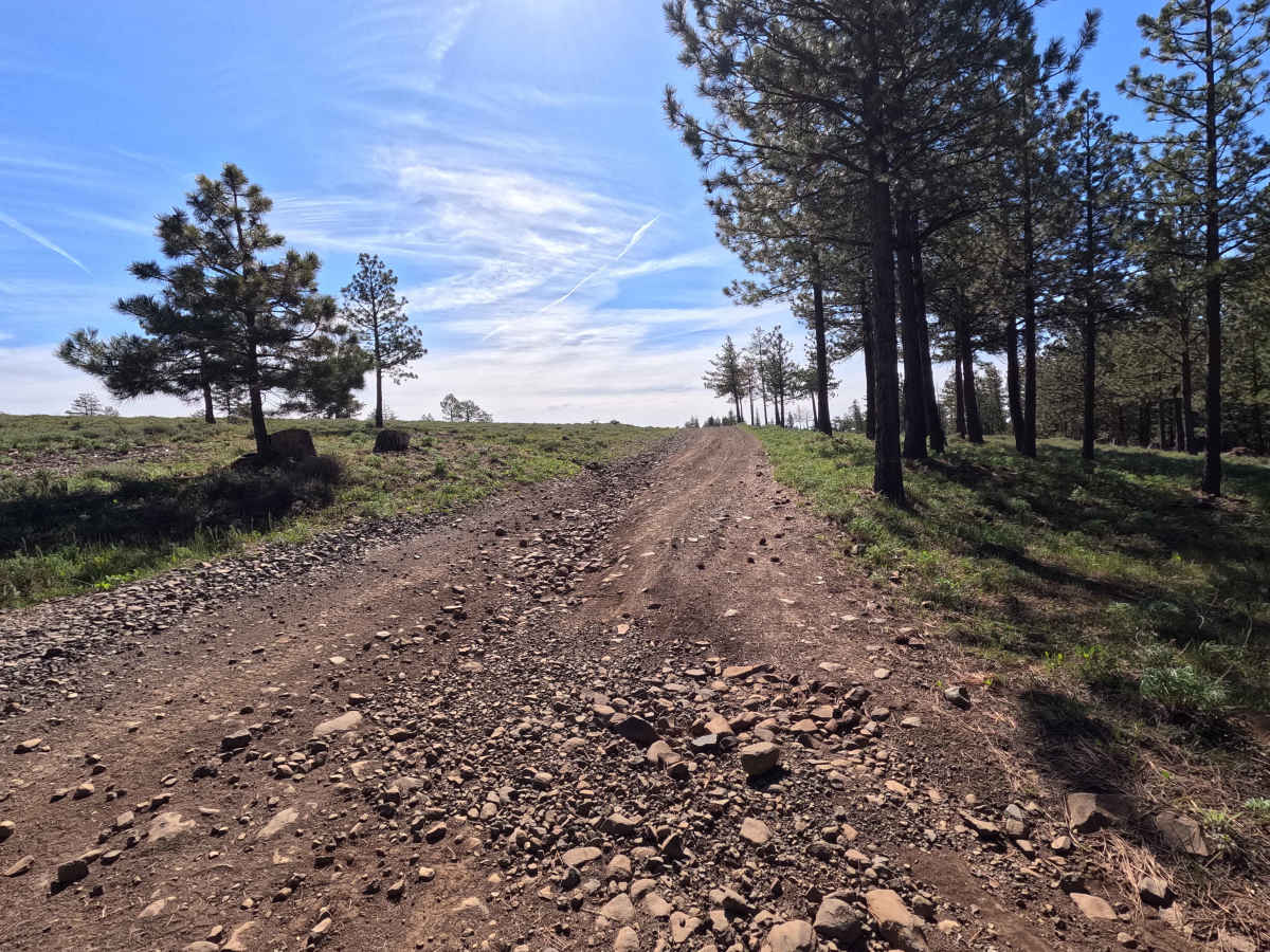 Brushy Road photo 4