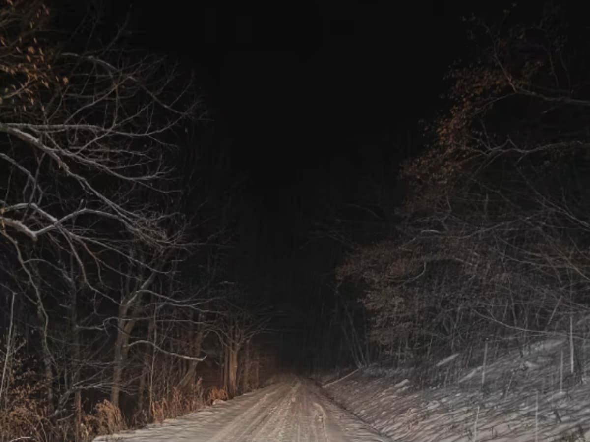 East Windfall - FS 321 photo 3