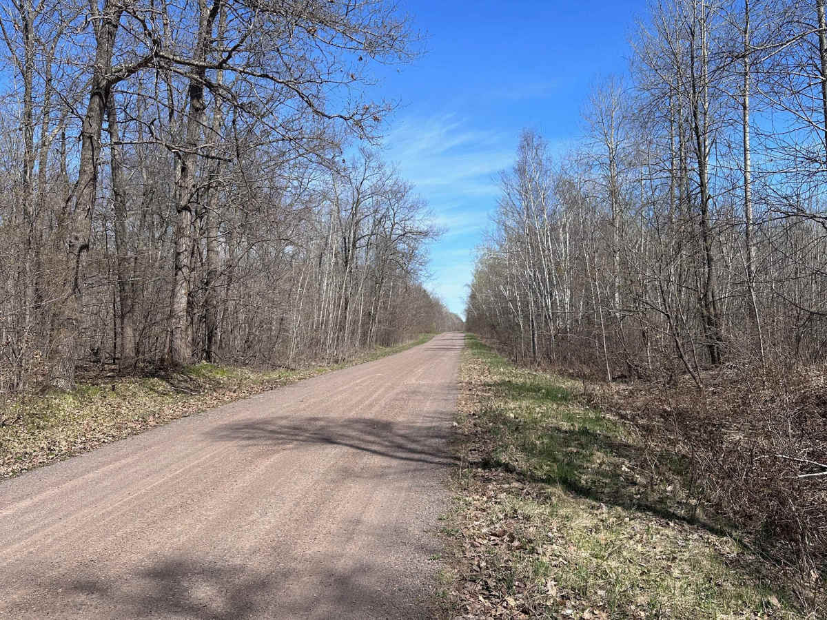 Tamarack River Forest Road photo 3
