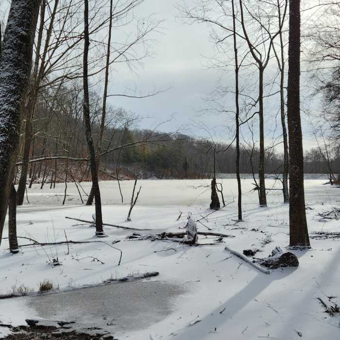 Near Twin Lakes Trail