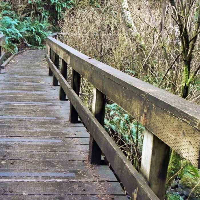 Near Saint Perpetua Trail