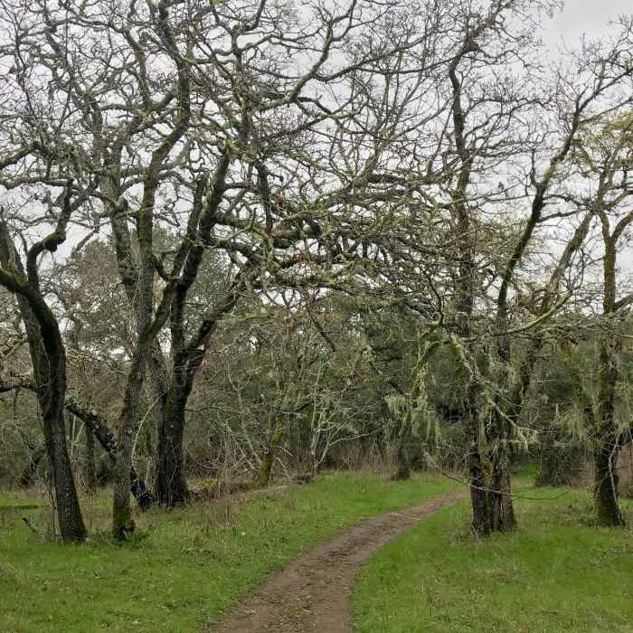 Near Old Spanish Trail
