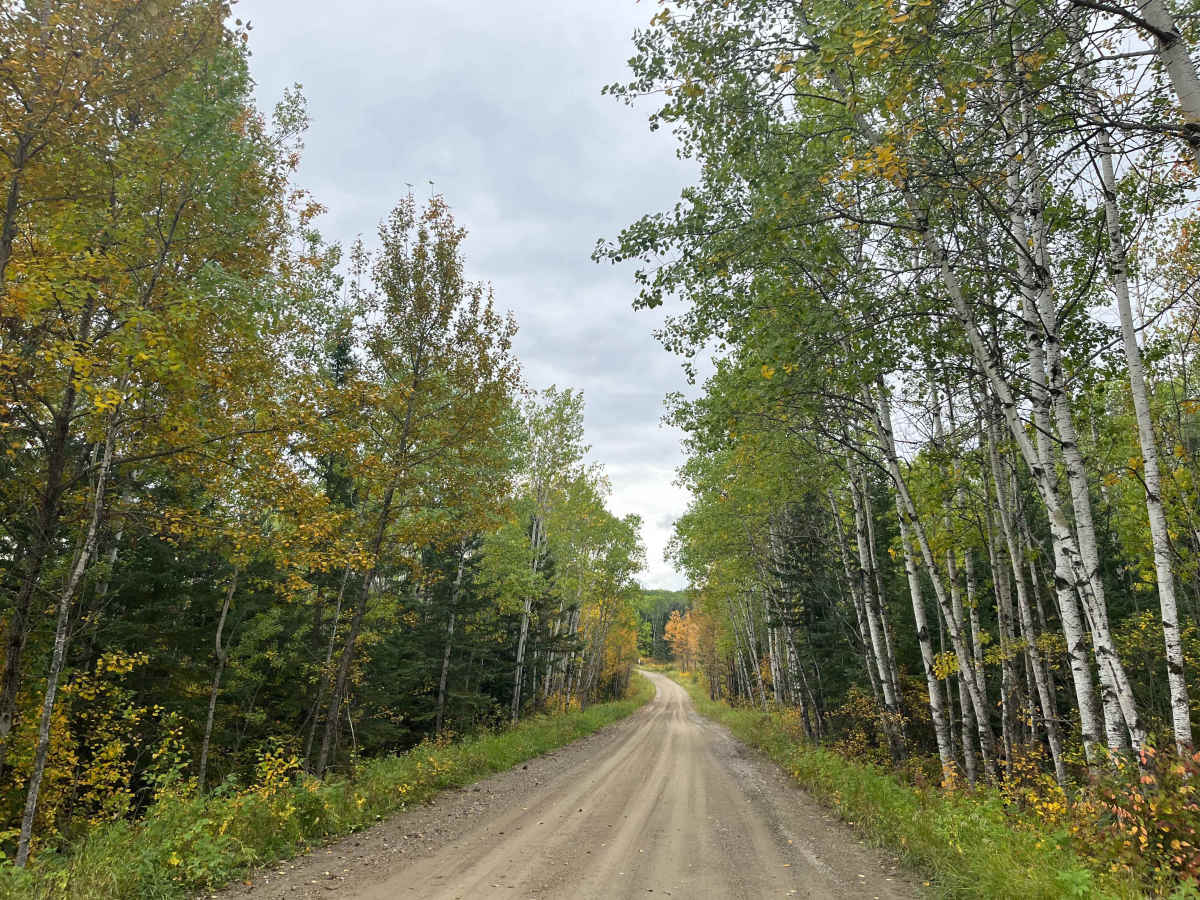 Quesnel Lake Road photo 5