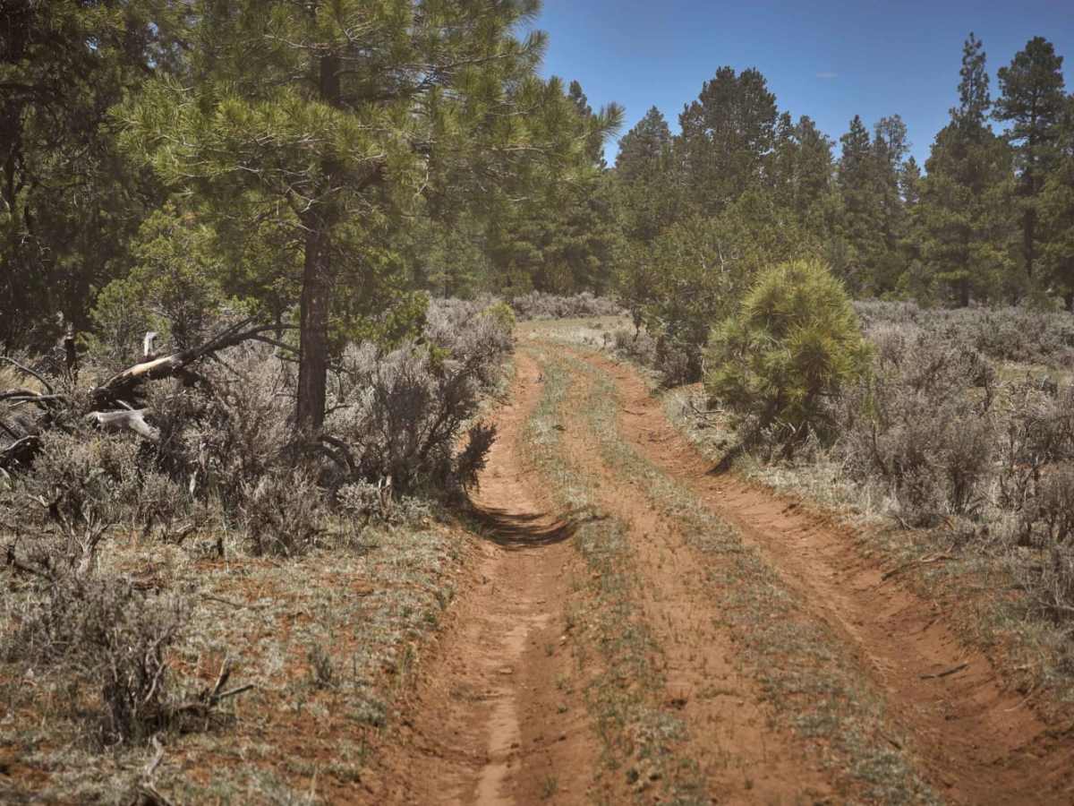 Cowpie Cowboy Trail photo 6