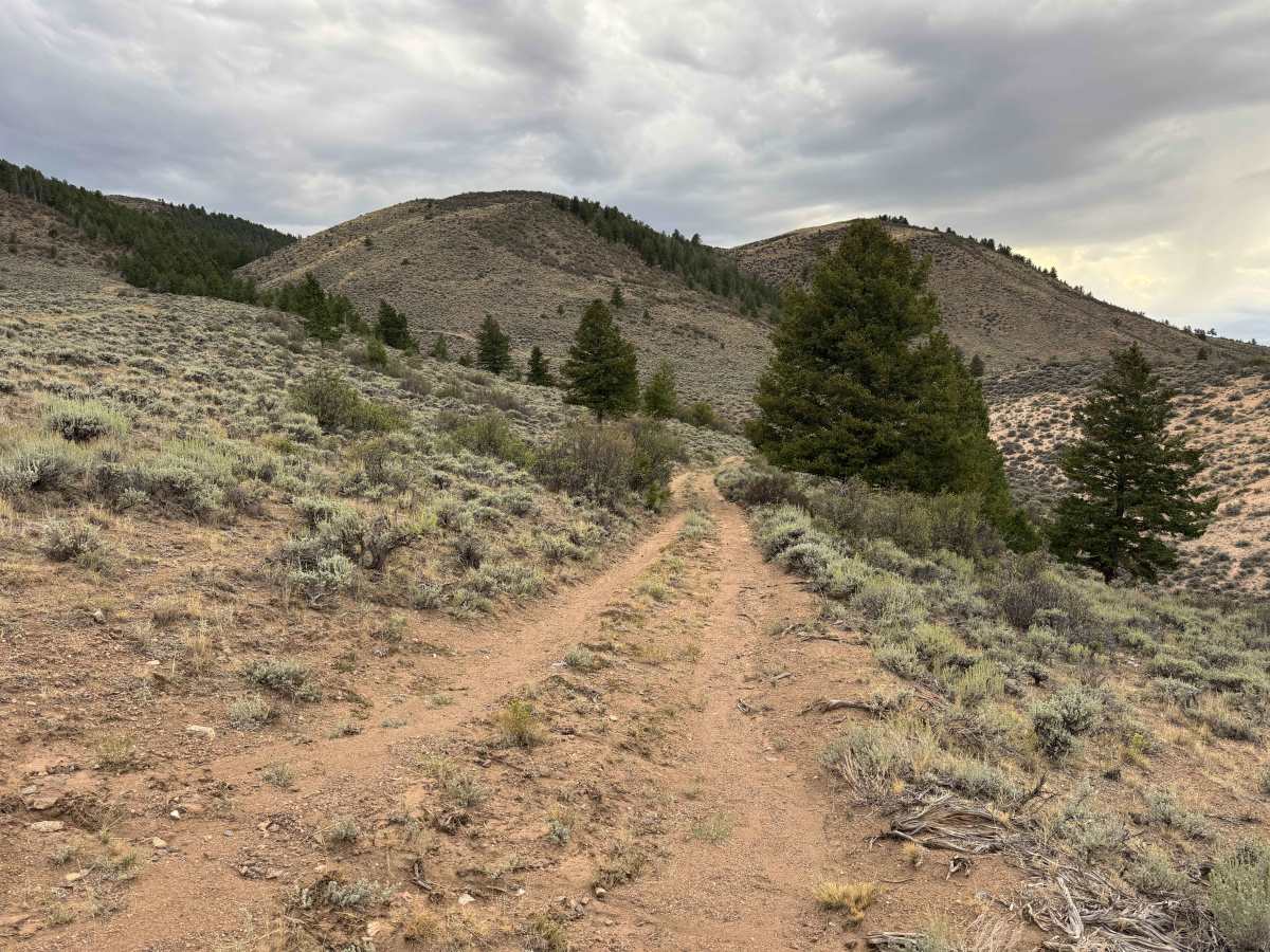 High Road photo 5