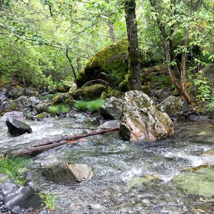 Near Snow Mountain via Deafy Glade