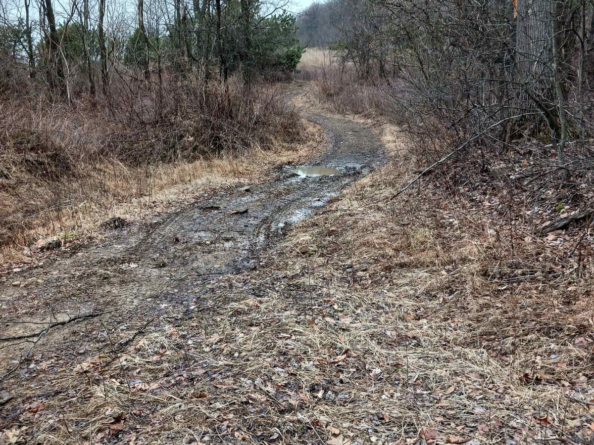 Trail 5 - Rock Run Recreation Area photo 2