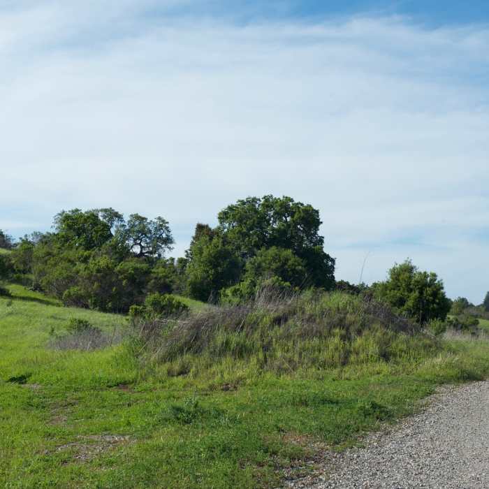 Near Bowl Loop