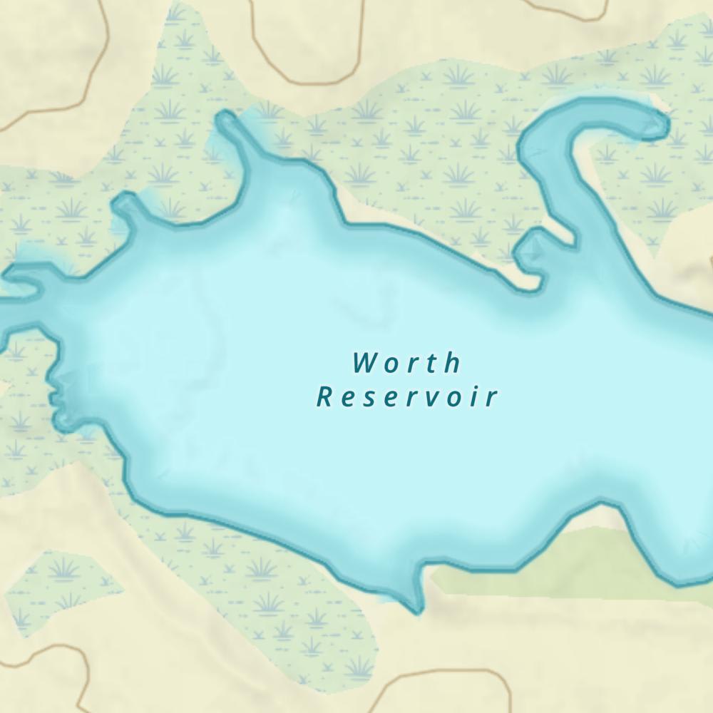 Worth Reservoir photo