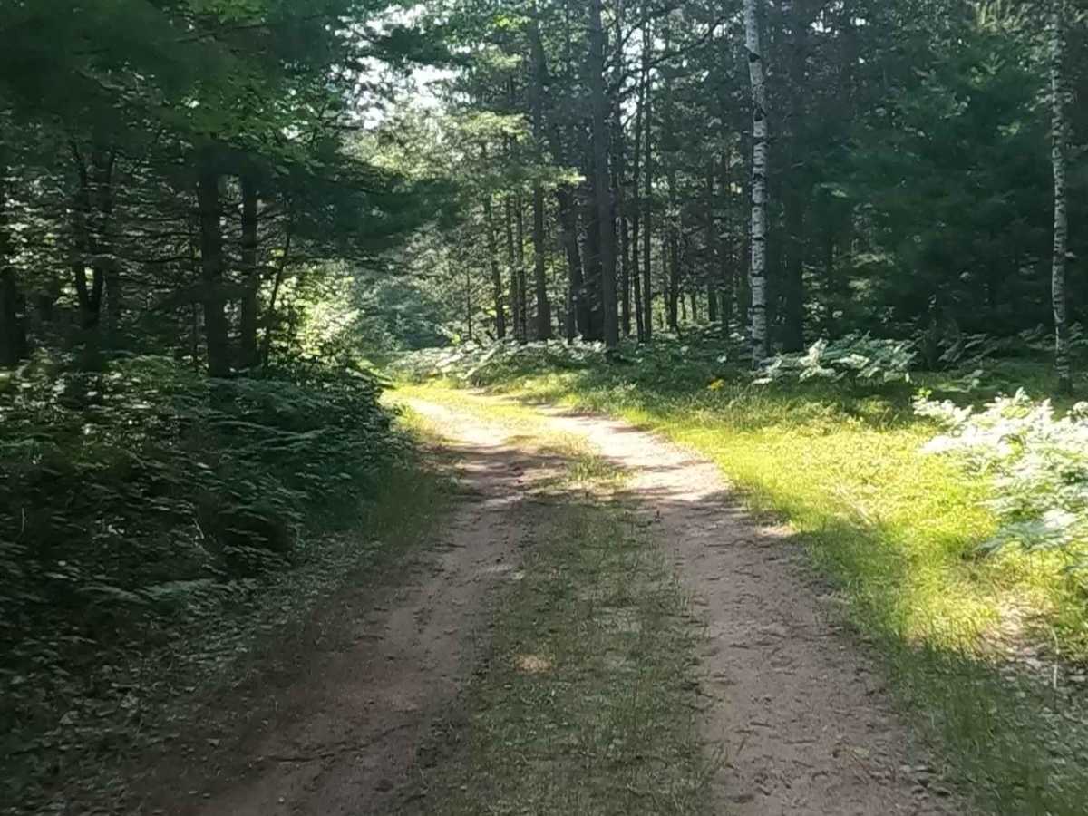 Bills Creek West - FSR 2814 photo 3