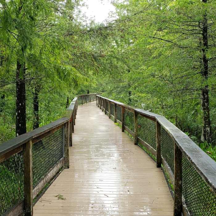 Near Bird Rookery Trail