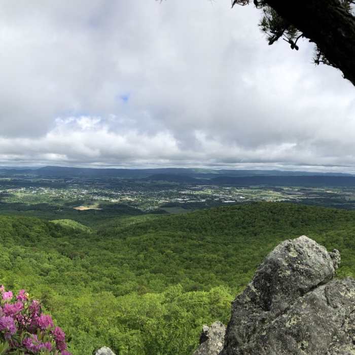 Near High Rocks Trail