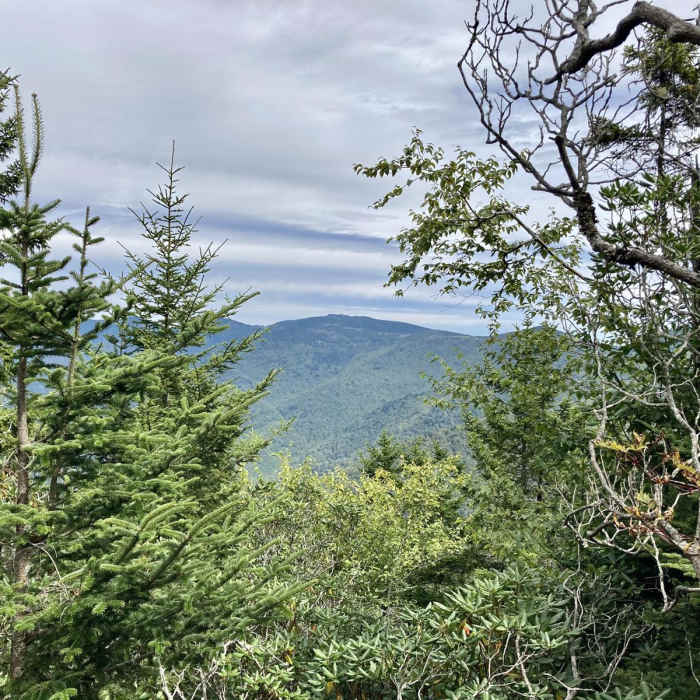 Near Blackstock Knob Near Blackstock Knob