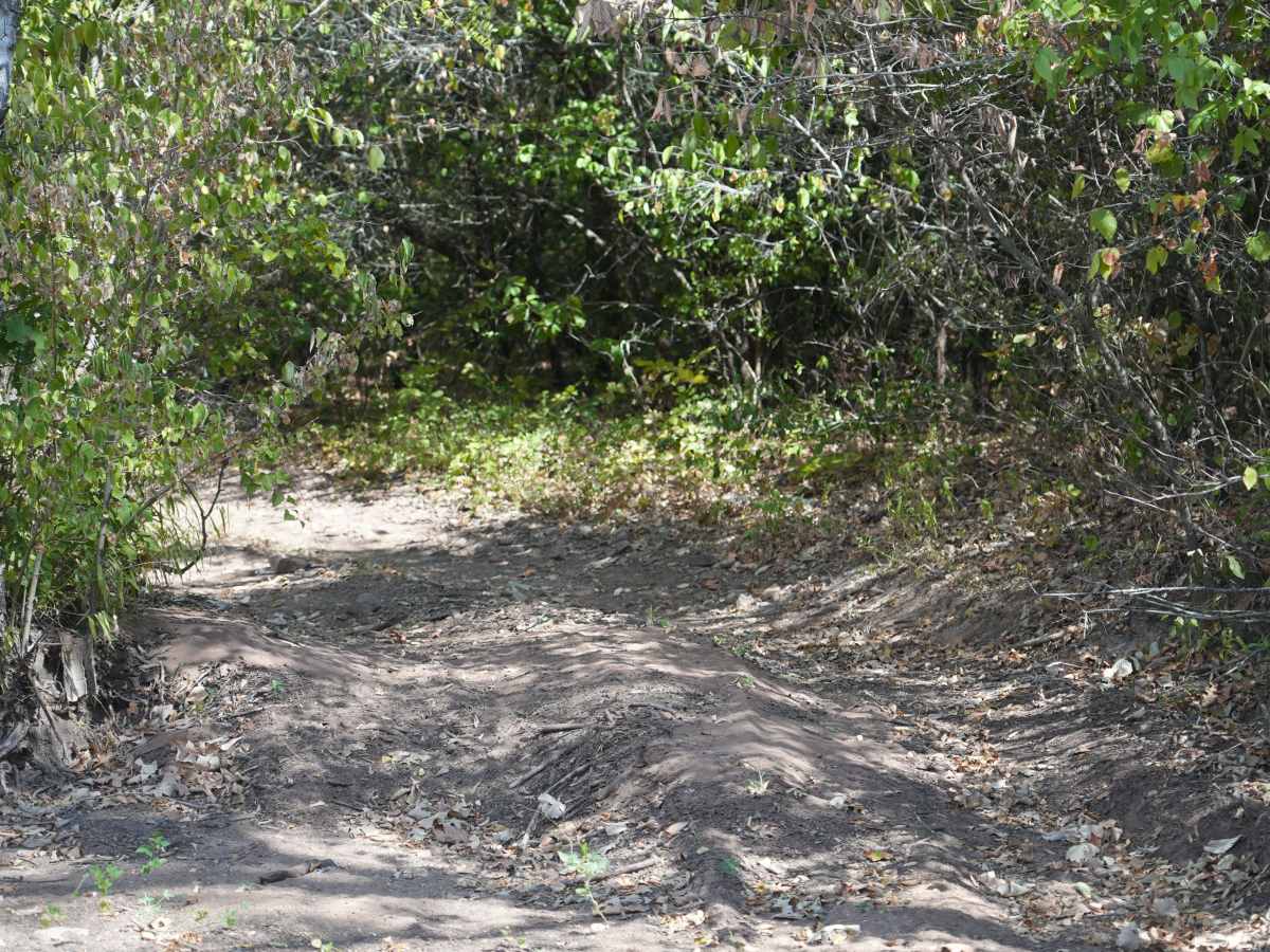 Blue 35 trail photo