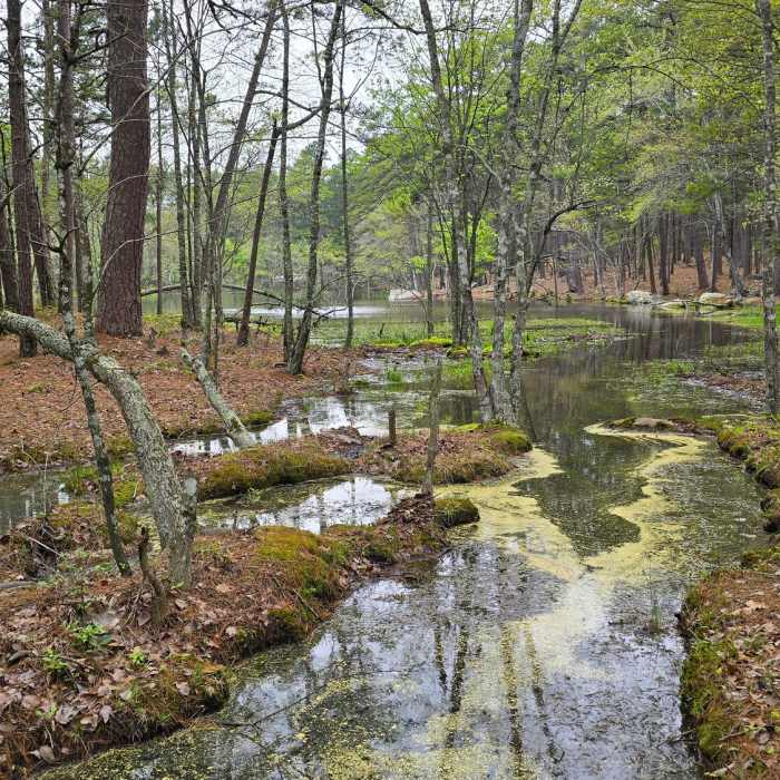 Near Rough Canyon Trail