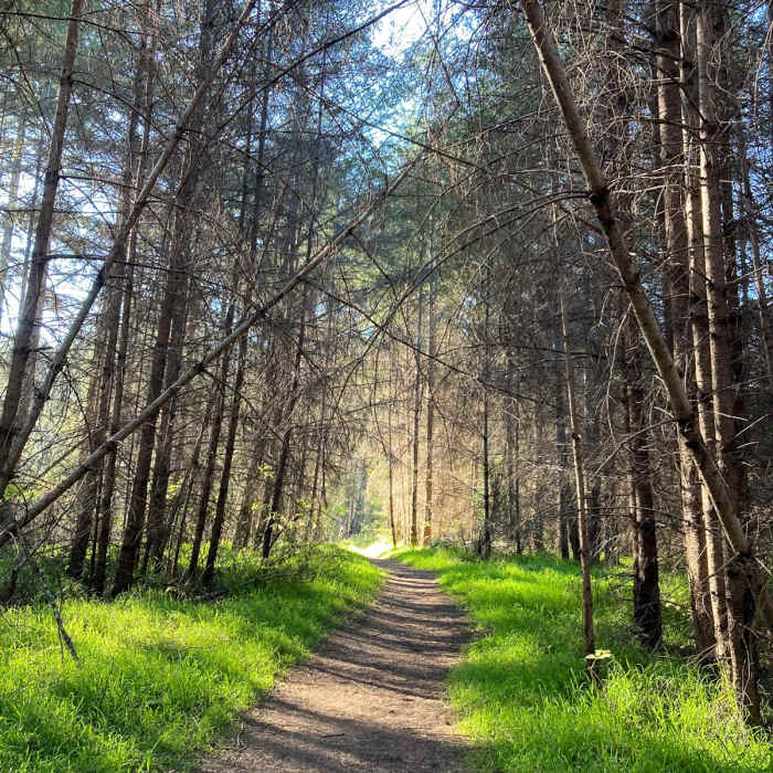 Near Mount Wittenberg via Horse Trail