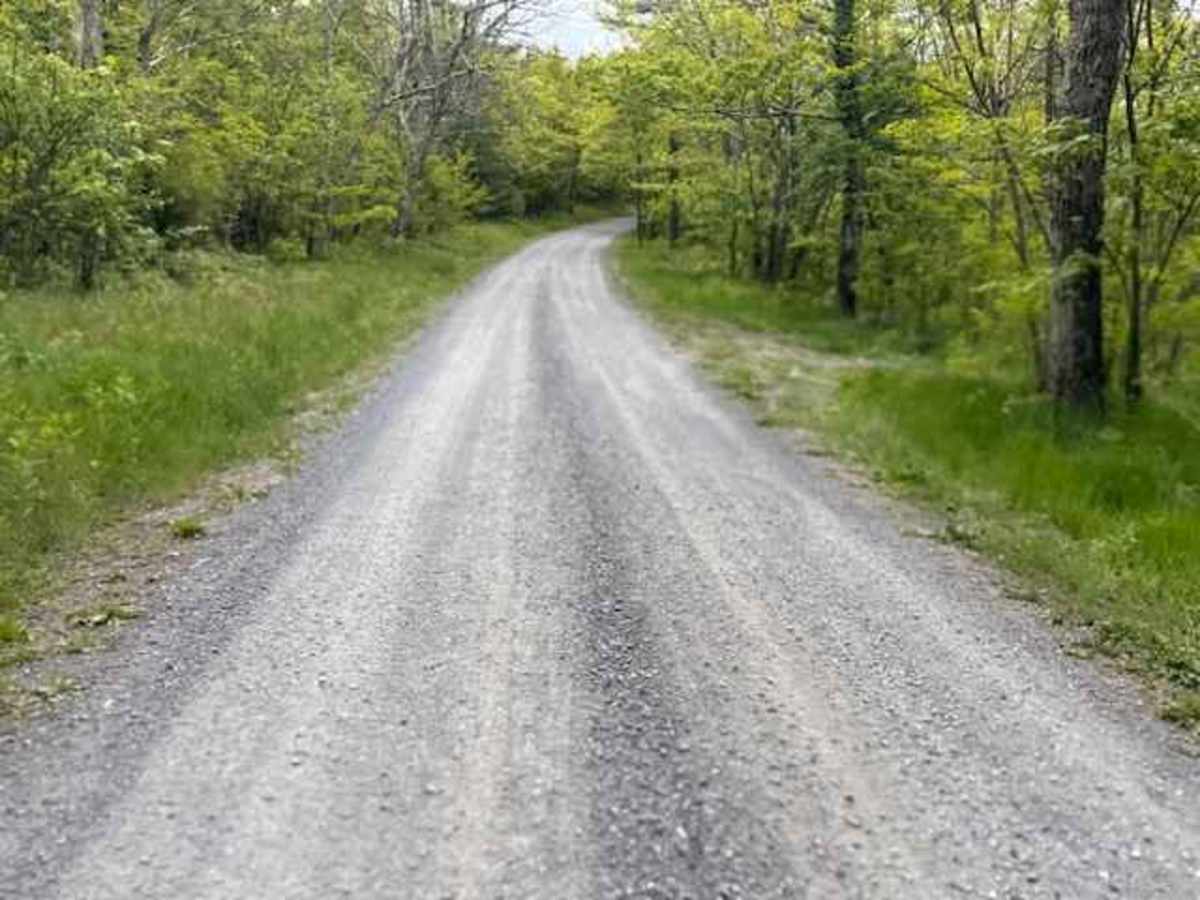Devils Hole Road photo 3