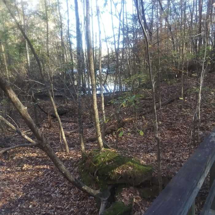 Near Falls Lake Trail: Section 6