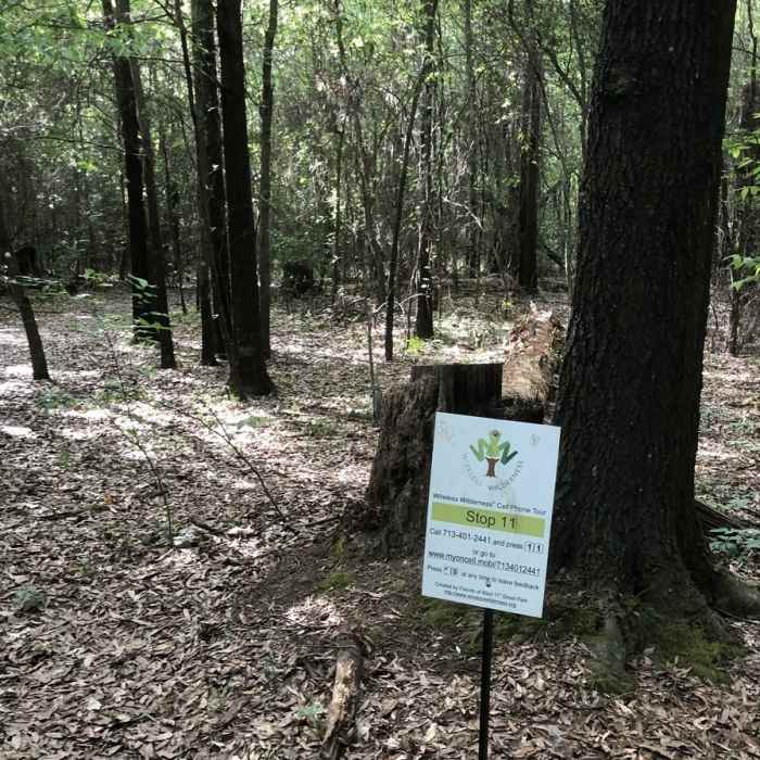 Near West Eleventh Street Park Trail