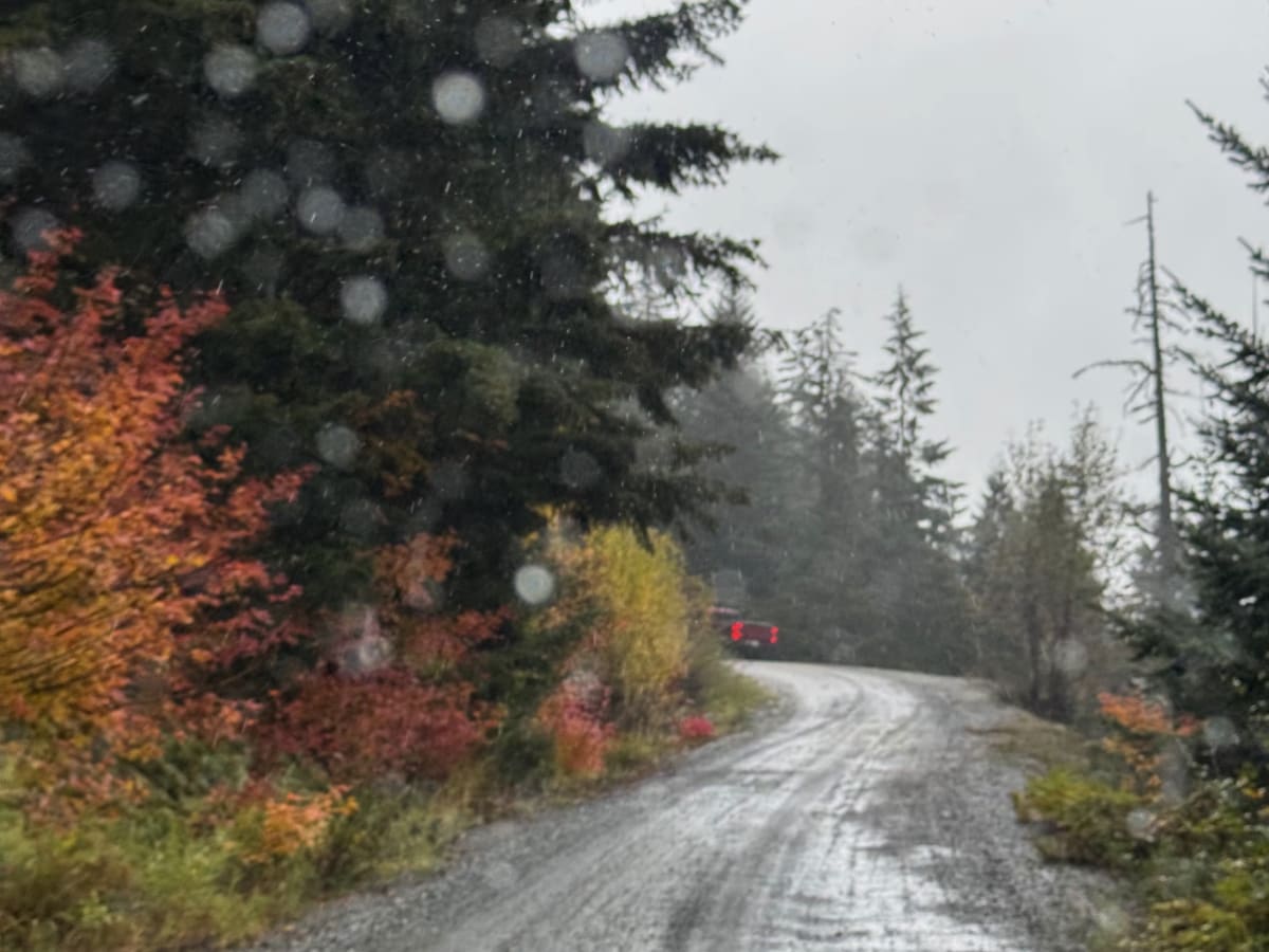 Twin Lake/ Cold Creek Road photo 5