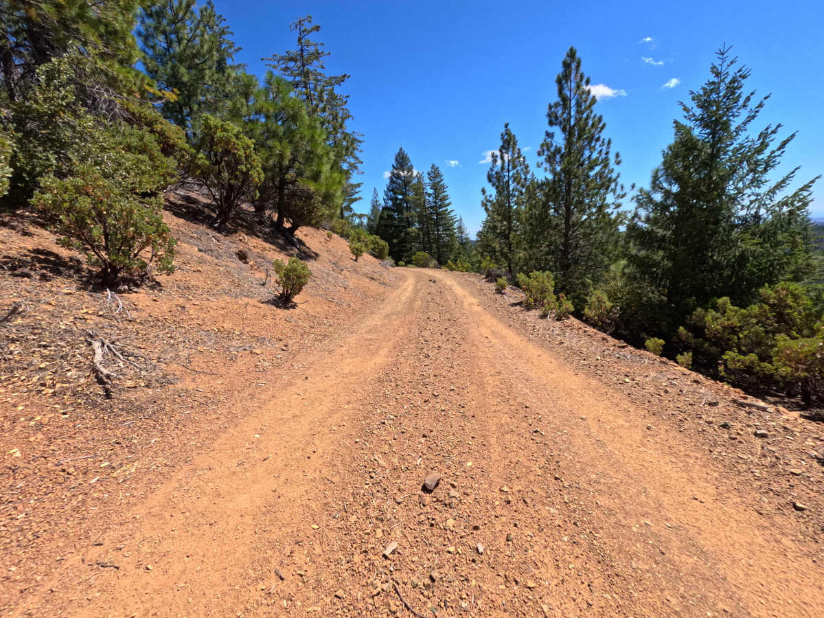 New Miner - FS 17N68 trail photo