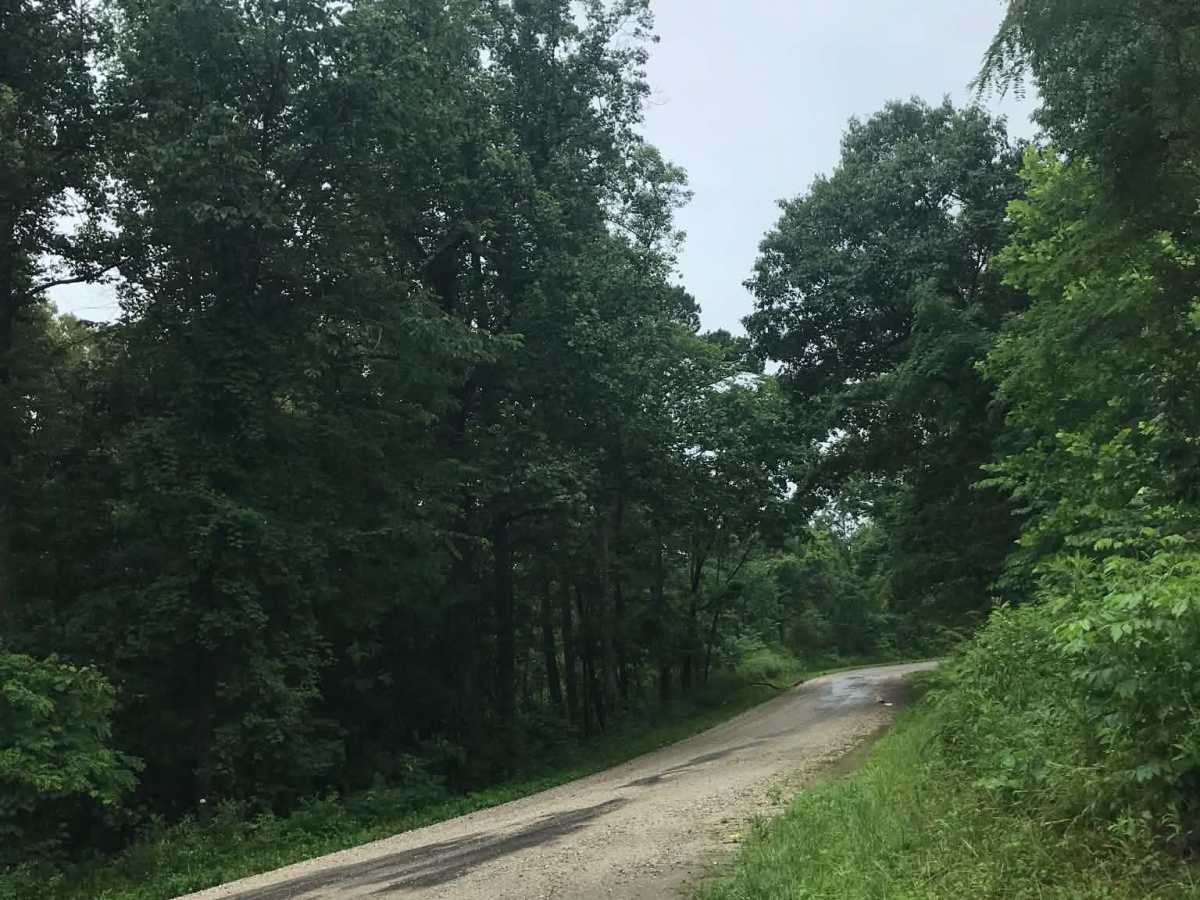 Township Road 232 photo 6