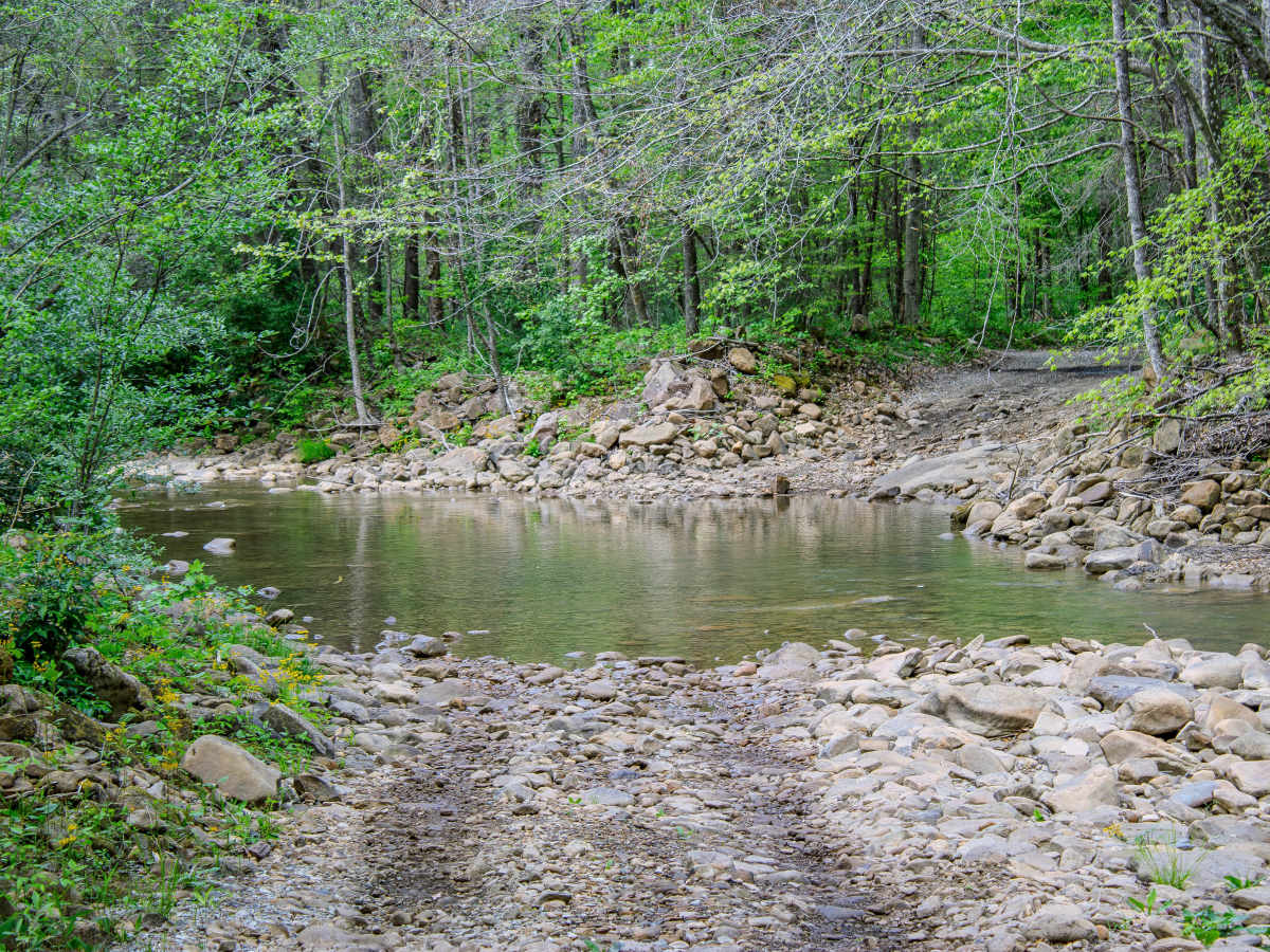 Patterson Road photo 5