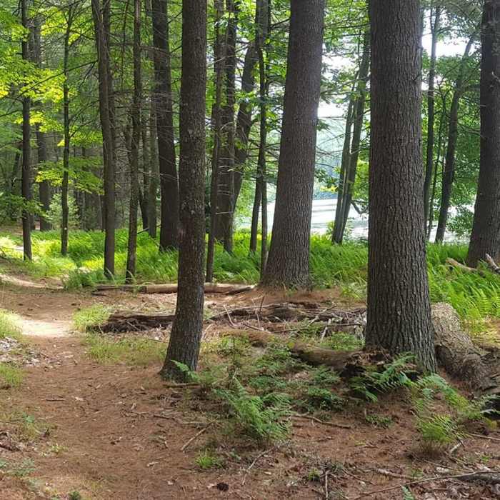 Near Beginners Berm