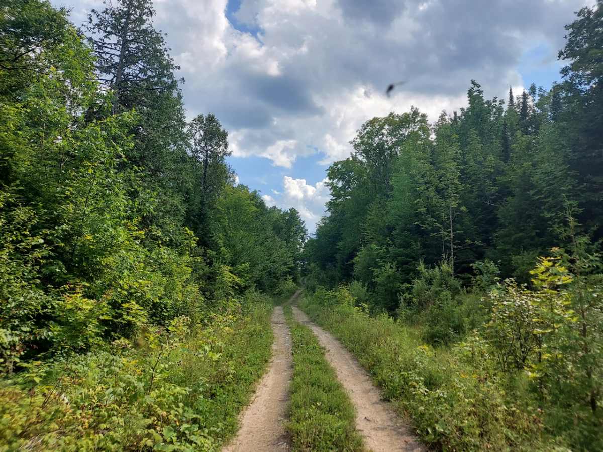 Deer Fly Lane photo 3
